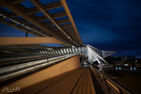 Train station Luik Guillemins by Calatrava