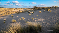 Amsterdamse Waterleidingduinen Marelvlak