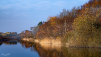 Amsterdamse Waterleidingduinen area Nieuw Kanaal