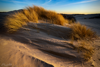 National Park Zuid-Kennemerland Area de Wieringen PVM5247