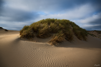 Zuidkennemerland Peperedel VDM7034