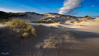 National Park Zuid-Kennemerland Area Peperedel PVM6029-